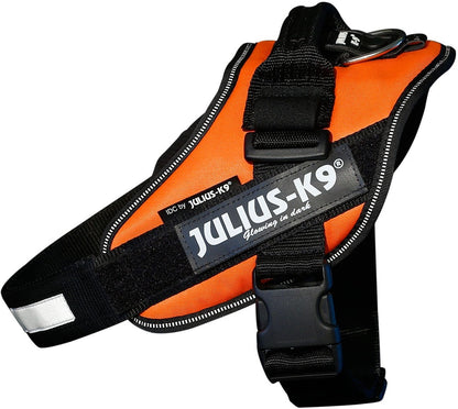 JULIUS K9 IDC PUISSANCE ORANGE