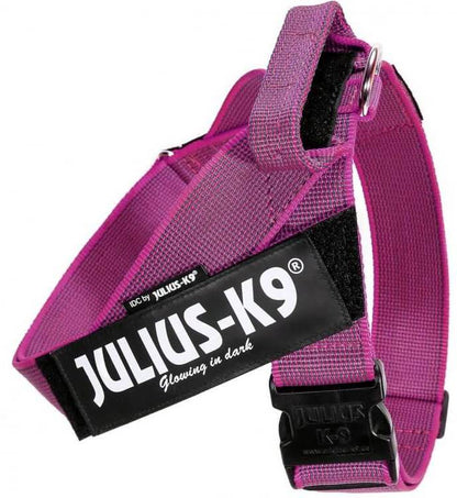 JULIUS K9 IDC POWER BLACK AND PINK