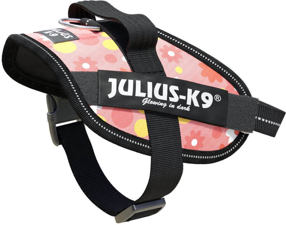 JULIUS K9 IDC PUISSANCE AVEC FLEURS