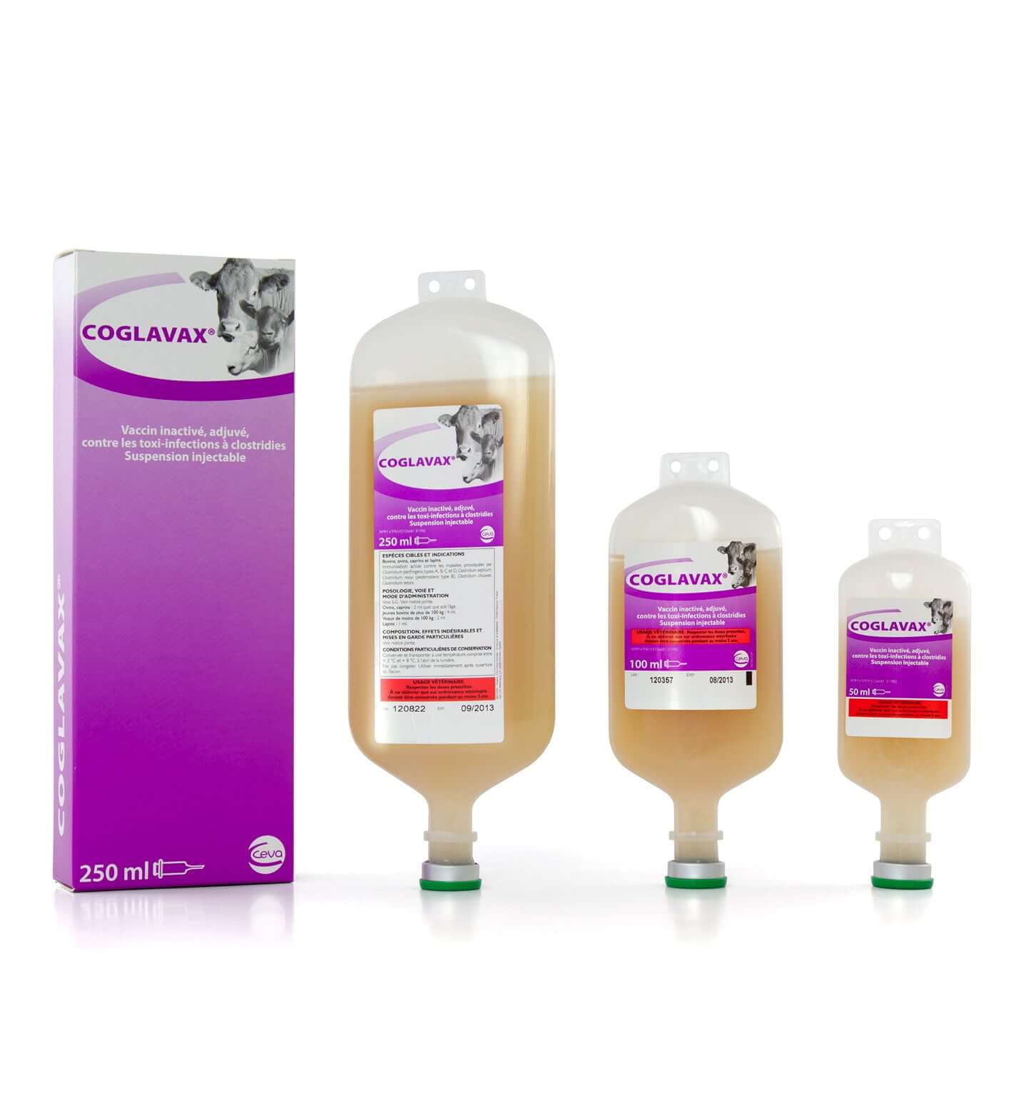 Coglavax 250 ml | Effective Injectable Solution for Cattle