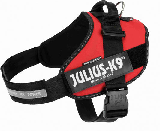 JULIUS K9 IDC PUISSANCE ROUGE