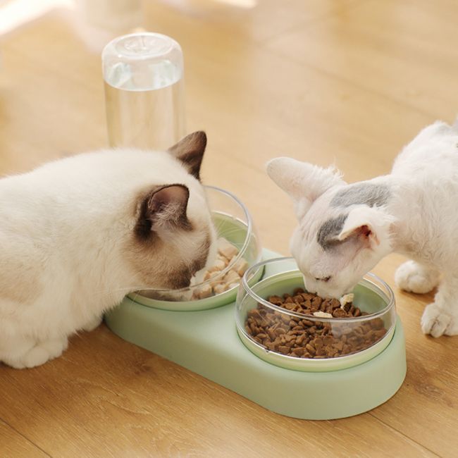 TILTED DOUBLE BOWL FOR FEEDING CATS WITH WATER DISPENSER