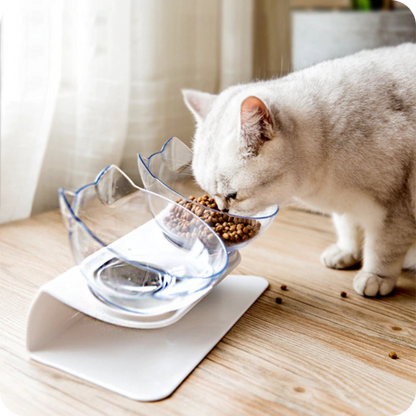 INCLINED SUPPORT WITH 2 BOWLS FOR FEEDING CATS