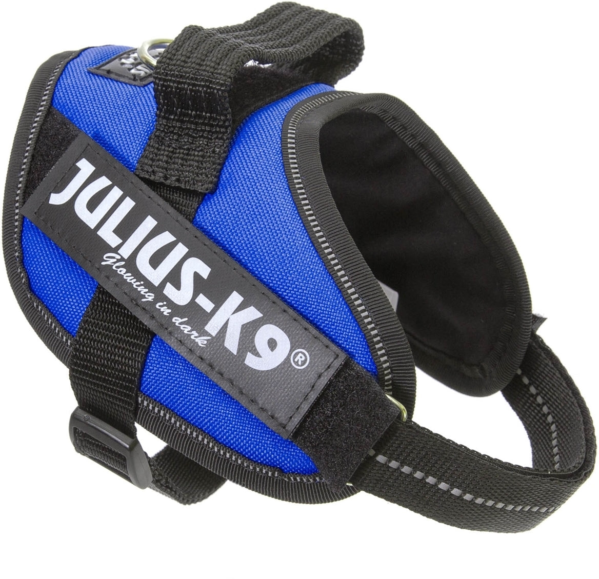 JULIUS K9 IDC POWER BLUE