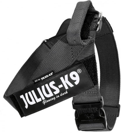 JULIUS K9 IDC POWER BLACK AND PINK