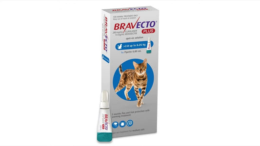 BRAVETCO PLUS CAT 250MG/500MG - 2.8 - 6.25 kg