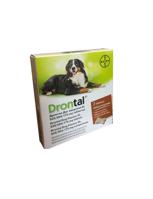 Drontal Plus Flavoured - 6 Deworming Tablets for Dogs | Broad Spectrum