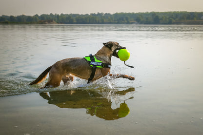 JULIUS K9 IDC PUISSANCE NÉON VERT