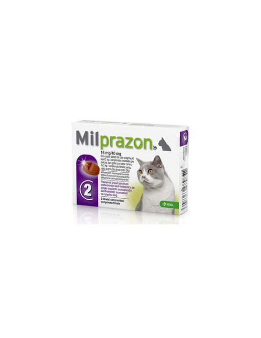 Milprazon 16 mg/40 mg Tablets for Cats | Effective Parasite Treatment