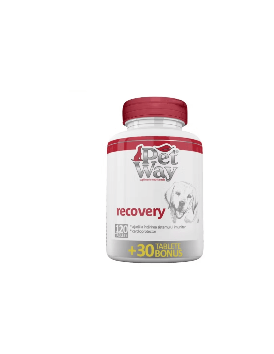 Petway Recovery Tablets 120 Tabs - Nutritional Support for Pets