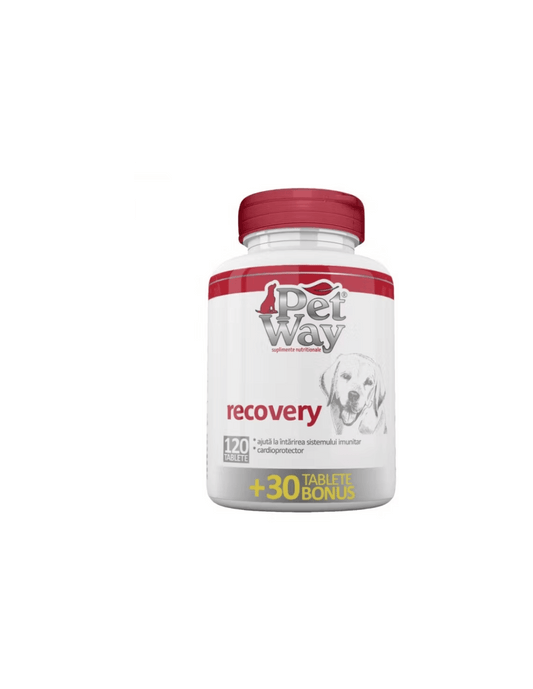 Petway Recovery Tablets 120 Tabs - Nutritional Support for Pets