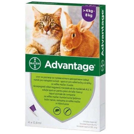 SOLUTION ANTIPARASITIQUE CUTANÉE POUR CHAT ET LAPIN DE PLUS DE 4 KG, 4 PIPETTES